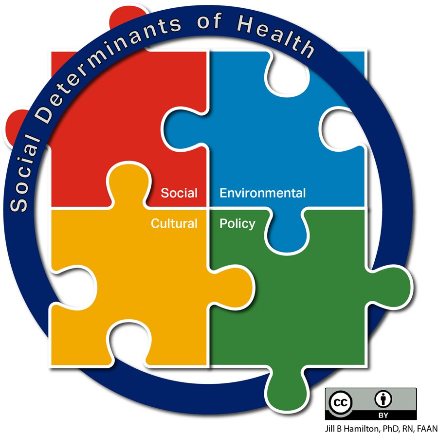 Dr. Hamilton's Social Determinants of Health framework: a circle labeled “Social Determinants of Health” enclosing four interlocking puzzle pieces — Social, Environmental, Cultural, and Policy.